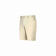 Load image into Gallery viewer, TOIO Mens Islamorada Techno Shorts
